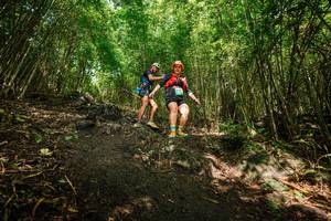 BIB: 
                            <button type="button" onclick="openModal(25099513)" class="btn btn-primary btn-sm float-right btn-popup" data-toggle="modal" data-target=".modal-high-quality">
                        <i class="fas fa-shopping-cart"></i> Add to Cart
                    </button>
                                            <button type="button" onclick="isThisMe(25099513, true)" class="btn btn-success btn-sm float-right btn-popup btn-isme hidden" data-toggle="tooltip" data-placement="bottom" title="นี่คือรูปของคุณใช่ไหม คลิกที่นี่เพื่อเอาเข้าอัลบั้ม">
                        <i class="fas fa-plus"></i> Add to album
                    </button>
                    <button type="button" onclick="isThisMe(25099513, false)" class="btn btn-warning btn-sm float-right btn-popup btn-isnotme hidden">
                        <i class="fas fa-ban"></i> Remove from album
                    </button>